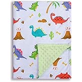Donsonny Baby Blanket for Boys Girls Soft Minky with Double Layer Dotted Backing, Dinosaur Printed 30 x 40 Inch Receiving Blanket