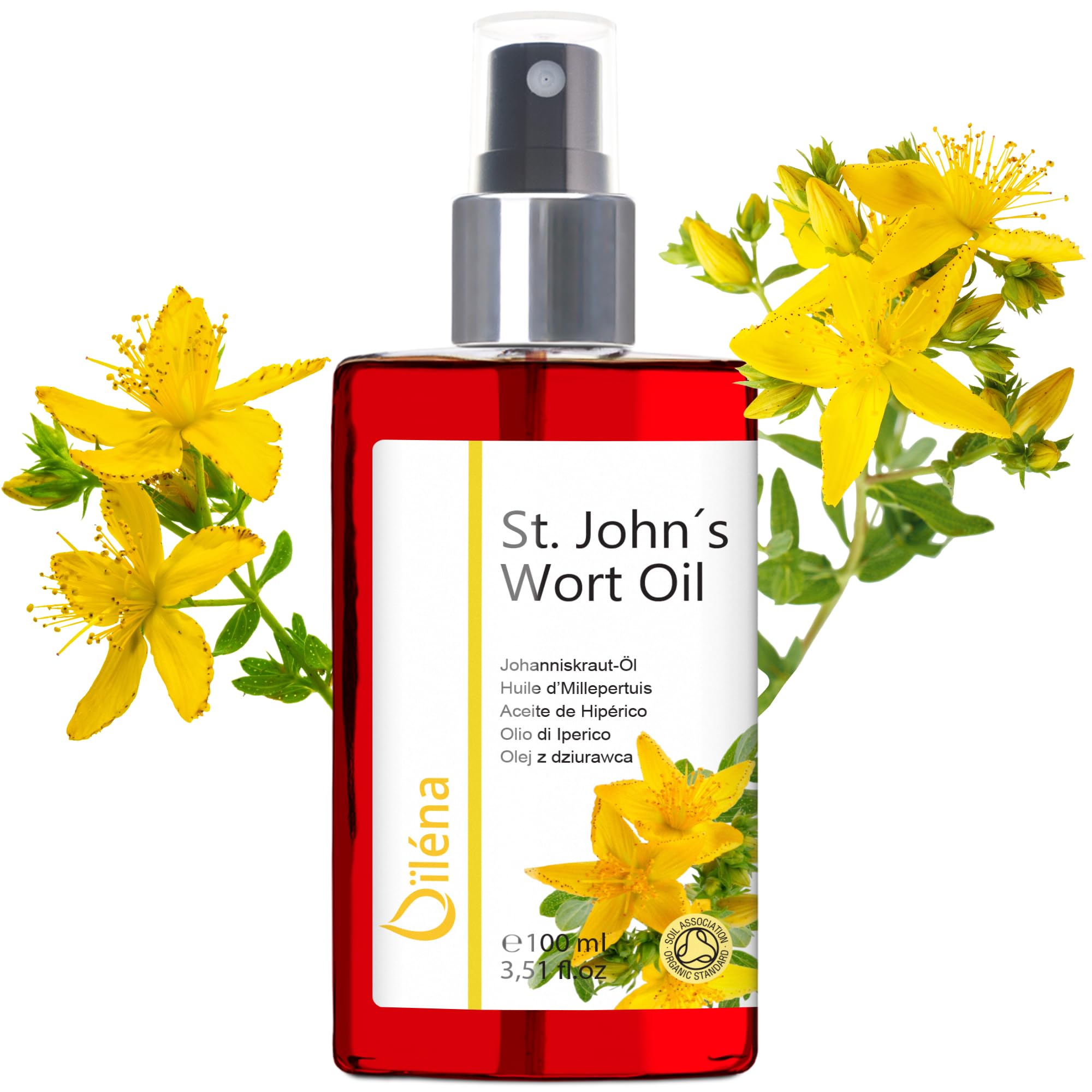 St John's Wort Oil 100% Natural Pure Hypericum Oil | Hair and Skin Rejuvenator | Anti-Aging Facial Oil | Skin Elasticity Restorer | Scalp Strengthener, 100 ml