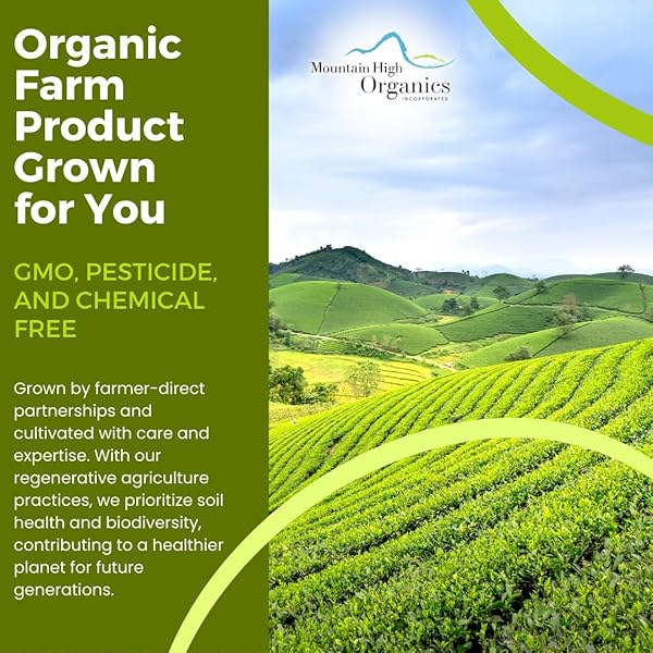 MOUNTAIN HIGH ORGANICS – 1 LB, CERTIFIED ORGANIC DARK RED KIDNEY BEANS, BULK DRIED RED KIDNEY BEANS, NON GMO, VEGAN, FRIJOLES COLORADOS, PLANT BASED PROTEIN AND FIBER