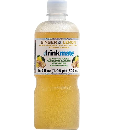 Amazon.com: Drinkmate Premium Beverage Flavor Syrup, Made in Italy