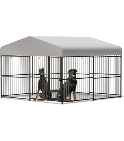 Amazon Large Dog Enclosures With Roof LZBEITEM 10 X 10 Ft 118