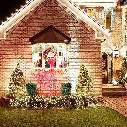 OMG! Outdoor Light Strings LED Copper Wire Lights, Each Set 33ft/10M 100LEDs and 1 Remote Control.AA Battery Powered,Decor Rope Lights for Holiday,Wedding, Parties.(Green one)