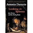 Looking for Spinoza: Joy, Sorrow, and the Feeling Brain
