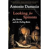 Looking for Spinoza: Joy, Sorrow, and the Feeling Brain