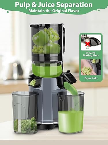 Aeitto Masticating Juicer, Cold Press Juicer Machines with