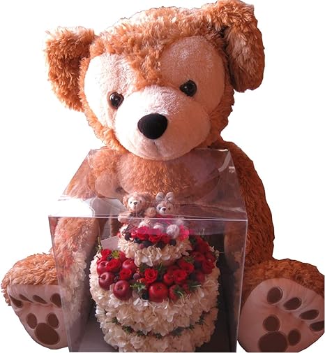 Amazon プロポーズダッフィーぬいぐるみ100cm ケーキ風フラワー ダッフィー シェリーメイ付きフラワーケーキ ケース付き プリザーブドフラワー オンライン通販