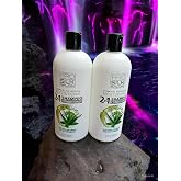 Pro Silk Salon 2-in-1 Moisturizing Shampoo and Conditioner, Aloe Vera, Spearmint and Pro-Vitamin B5, 32 Fl Oz, 2 Pack