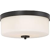 Nuvo Lighting, 2 Light Flush