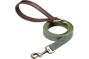 Didog PU Leather Dog Leash for Small Dogs 4.5ft, Soft Padded Handle Dog Leashes for Medium Size, Walking and Training Leashes Faux Leather for Large Pet,Green