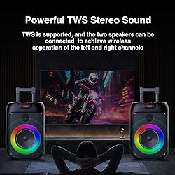 Portable Karaoke Machine with 2 Wireless