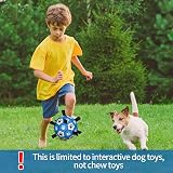 HETOO Interactive Dog Football Toy with Webbing 6 Inch Blue Gray view 2