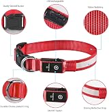 MASBRILL Light Up Dog Collar LED USB Rechargeable Red L Waterproof view 4
