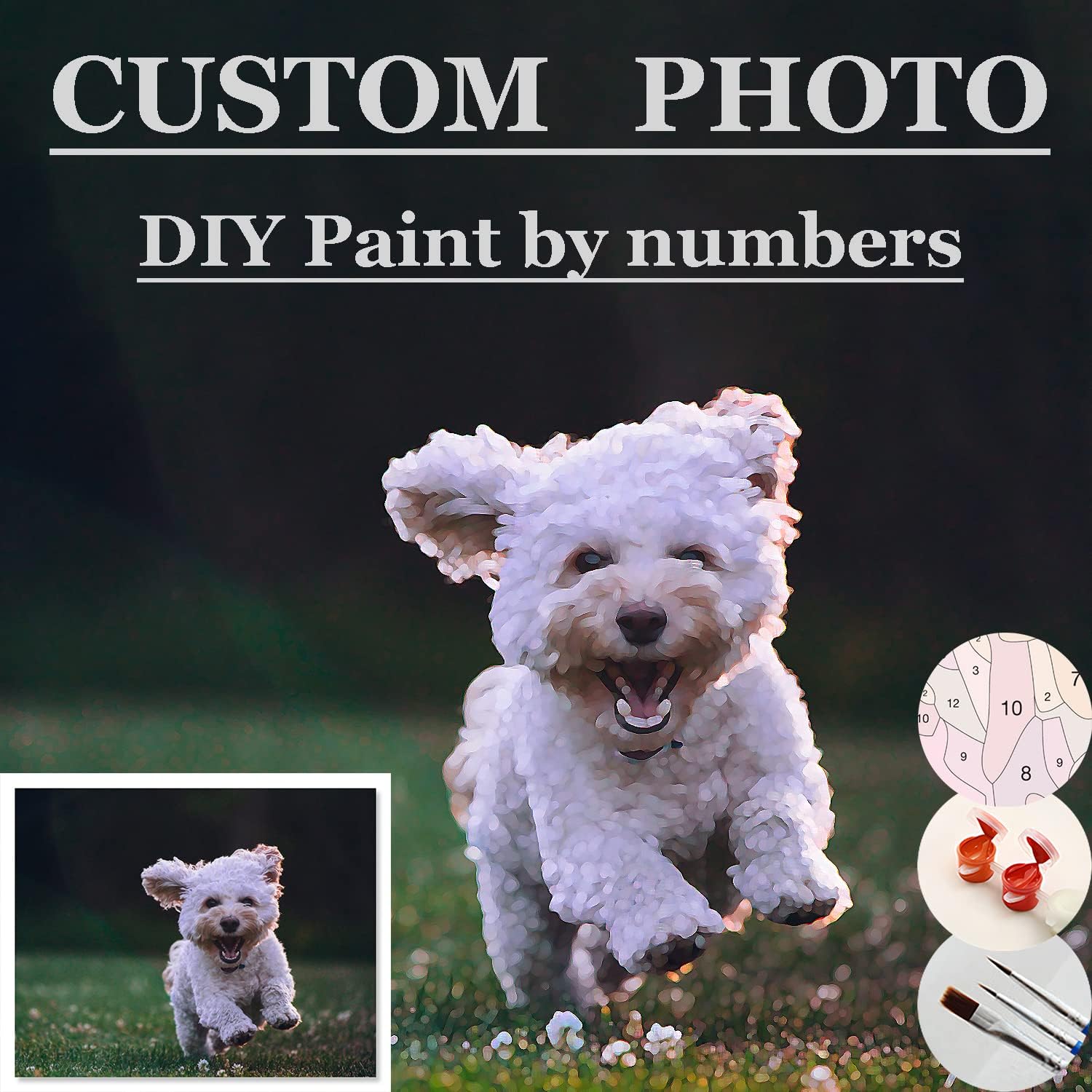 Paintings - Personalized Paint by Numbers Custom Photo, Customized Paint by Numbers for Adults, Color by Numbers on Canvas, 24 Colors No frame/12