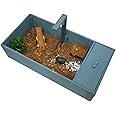 RUNSHED Tortoise Habitat with Removable Roof, Open Slide, and Light Arm (Gray)