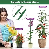 Realure Orchid Sticks 30 cm Pack 15 Adjustable Plant Support Trellis view 4