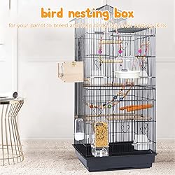 Rypet Parakeet Nesting Box Transparent