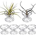 Shappy 6 Pieces Air Plant Stand Airplant Container Tillandsia Holder Stainless Steel Plant Display Racks, Silver