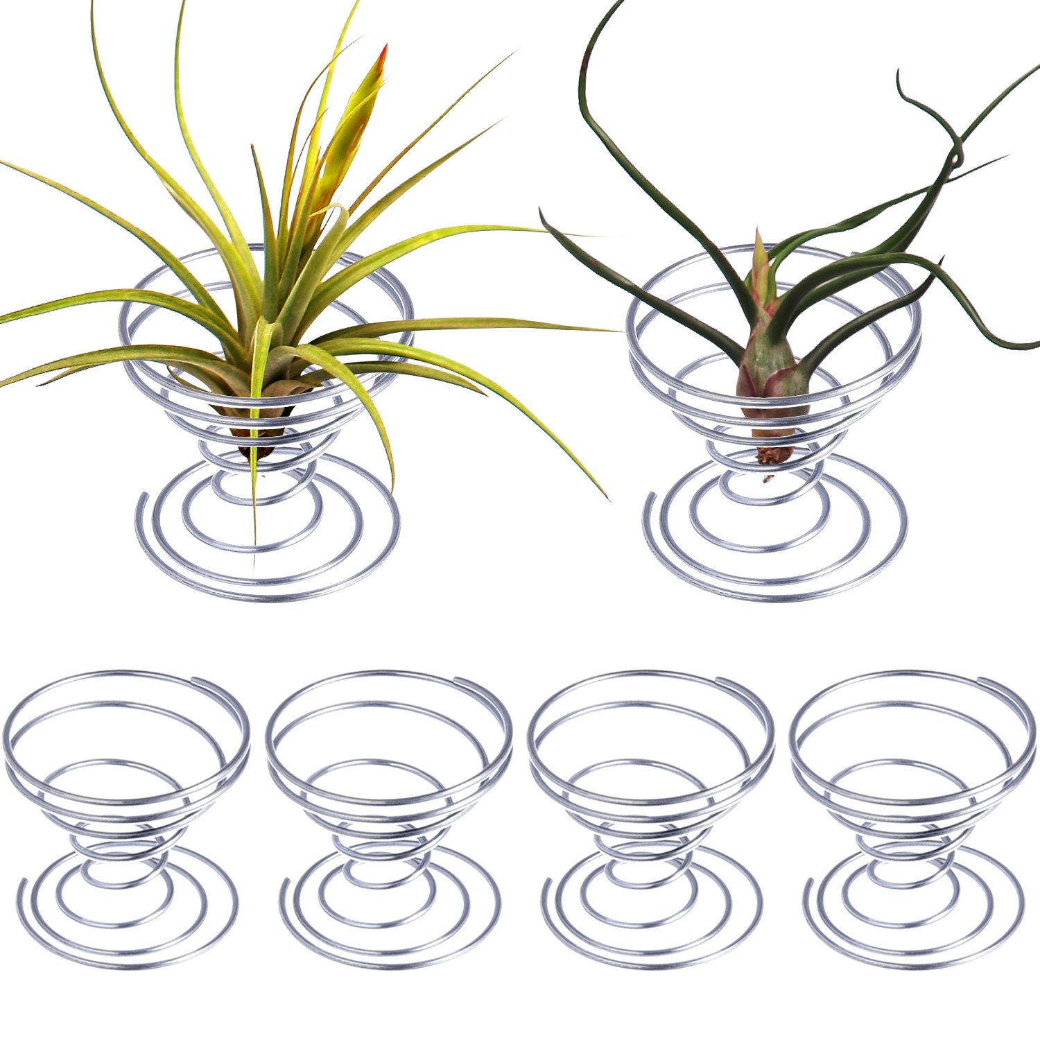 Hestya 6 Pieces Air Plant Stand Airplant Container Tillandsia Holder Stainless Steel Plant Display Racks, Silver