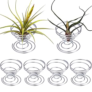 Hestya 6 Pieces Air Plant Stand Airplant Container Tillandsia Holder Stainless Steel Plant Display Racks, Silver