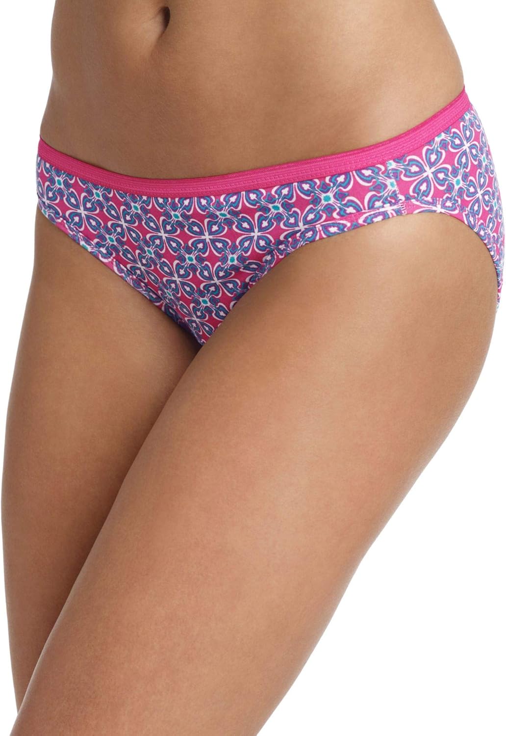Hanes Women's 6-Pack Cotton Bikini Panty at  Women’s Clothing store