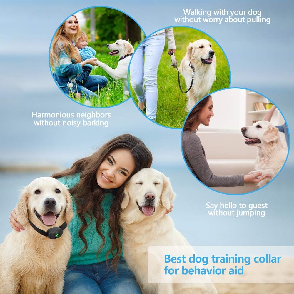 dog training collars for jumping
