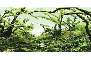 AWERT 48x18 inches Branches Aquarium Background Chlorella Aquarium Background Aquatic Plant River Bed & Lake Fish Tank Background Vinyl Background