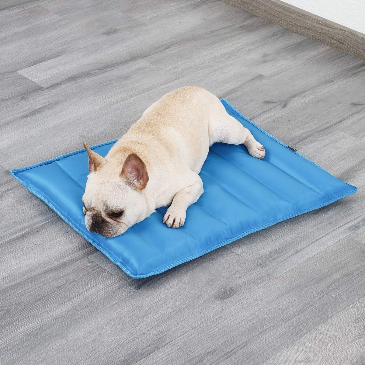 cooling water bed for dogs