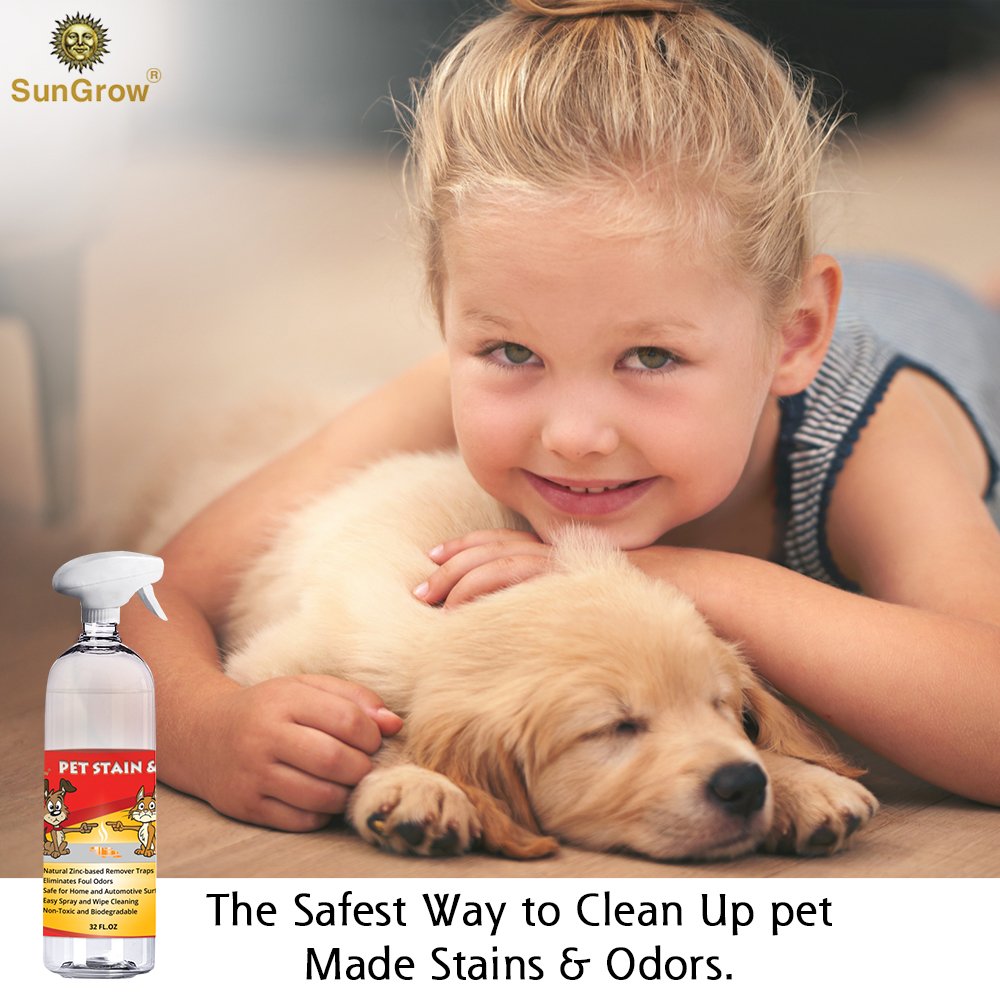 SunGrow Advanced Pet Urine Stain and Odor Remover for Dogs & Cats Owners: Clear, Clean, Enzyme Blend with a Pleasant Green Tea Scent : Color Safe & Effective for Clothing, Rugs, Counter-Tops & Floors