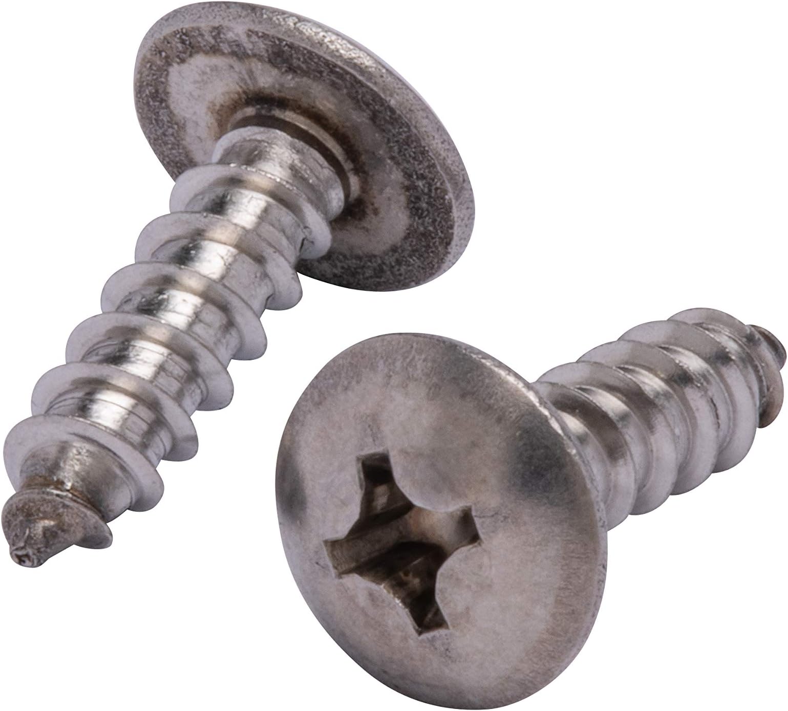 #12 X 3/4" Stainless Truss Head Phillips Wood Screw, (50pc), 18-8 (304) Stainless Steel Screws by Bolt Dropper