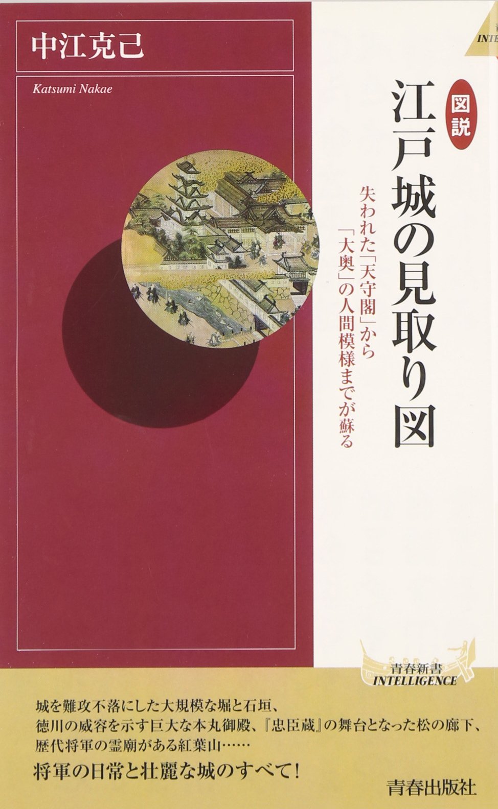 図説 江戸城の見取り図 青春新書intelligence 中江 克己 本 通販 Amazon