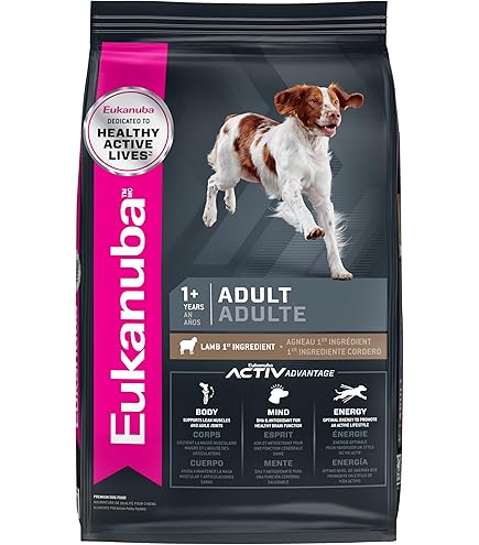 Is Eukanuba a Good Dog Food Brand: Expert Insights