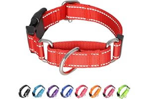 BXPAW Martingale Collar for Dogs,Reflective Martingale Dog Collars with Quick Release Buckle,Adjustable Nylon No Pull Dog Collar for Walking Training (Red, Medium)