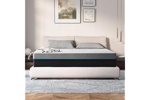 Queen Mattress,Twolike 10 Inch Queen Mattress in a Box, Medium Firmness Premiums Foam Mattress and Support for Sleep,60" X 80