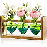 Nacome Plant Terrarium Propagation Stations: Valentines Day Gifts for Her Plant Lovers Women Mom Wife Daughter - 3 Bulb Glass Vase with Wooden Stand Tabletop for Hydroponics Home Garden Decor(Green)