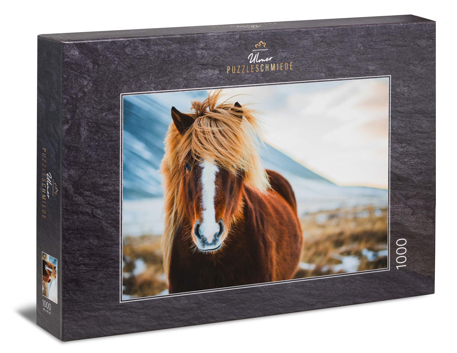 Ulmer Puzzleschmiede - Puzzle "Icelandic horse in winter": 1000 pieces jigsaw puzzle - pretty horse puzzle: beautiful Iceland pony in front of winter nature in Iceland
