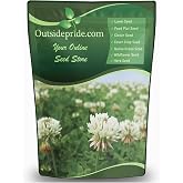 Outsidepride Perennial White Dutch Clover Seed - 2 lbs. Nitrocoated, Inoculated Clover Seeds for Lawn Alternative, Erosion Control, Food Plots, Ground Cover, &amp; Pasture Mixtures in USDA Zones 3-10