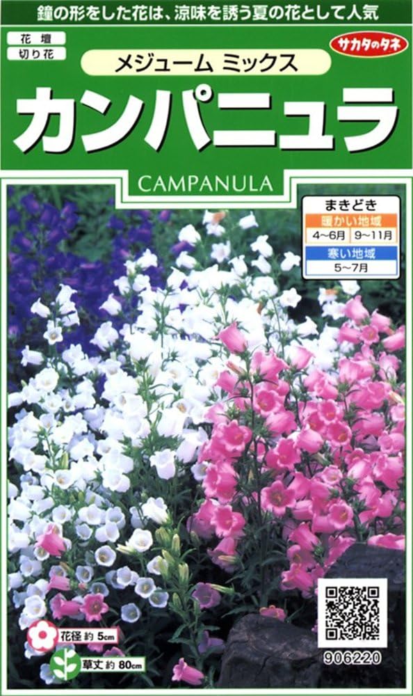Amazon サカタのタネ 実咲花62 カンパニュラ メジュームミックス 花