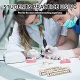 Gments 84Pcs Fake Teeth Denture Kit Upper Lower Acrylic Resin A2 Shade view 3