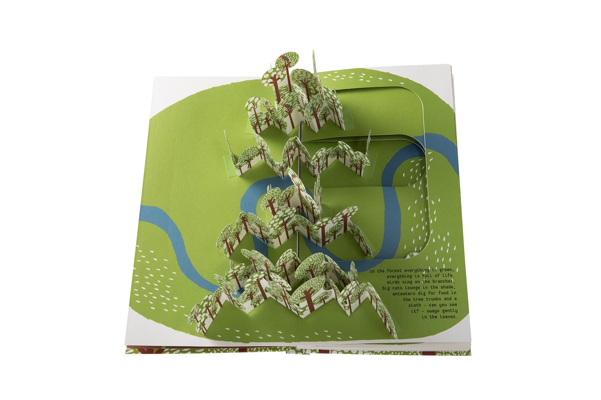 In The Forest Anglais Anouck Boisrobert Louis Rigaud Boisrobert A Rigaud Amazon Es Libros