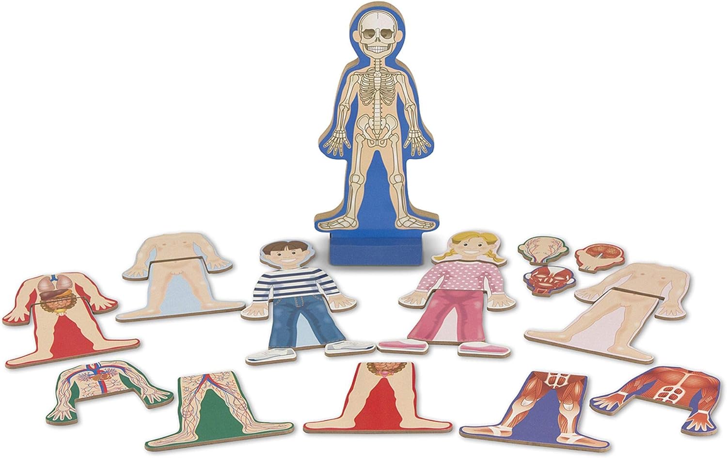 melissa and doug anatomy puzzle