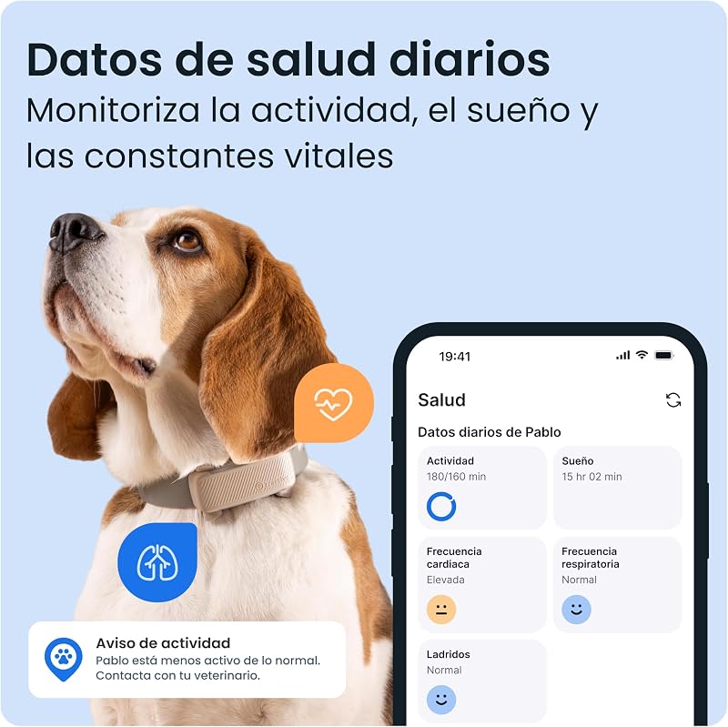 - Cães GPS | Edição 2025 | Nº 1 no mercado | Localização em Tempo Real | Alertas Anti-Fugas | Monitor de Atividade | Alertas de Saúde | Rastreio de Latidos (Castanho)