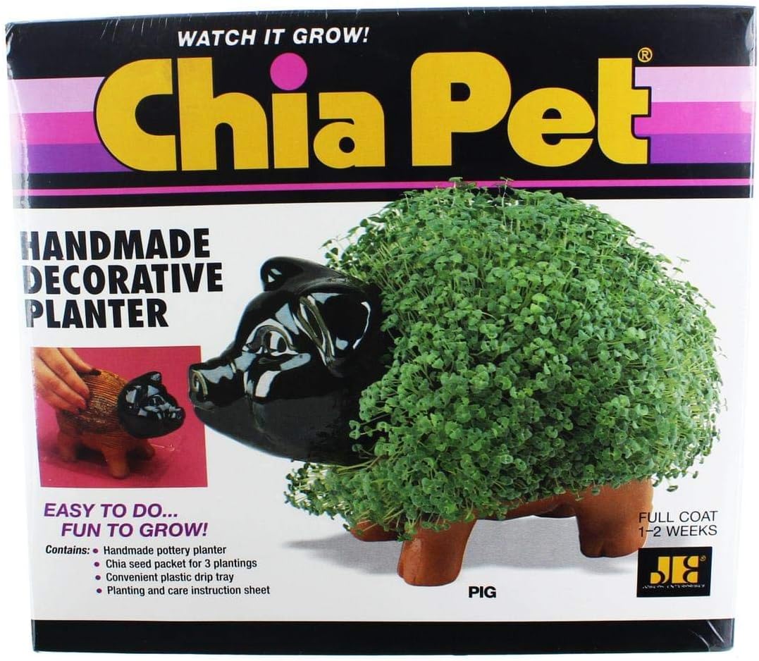 chia turtle
