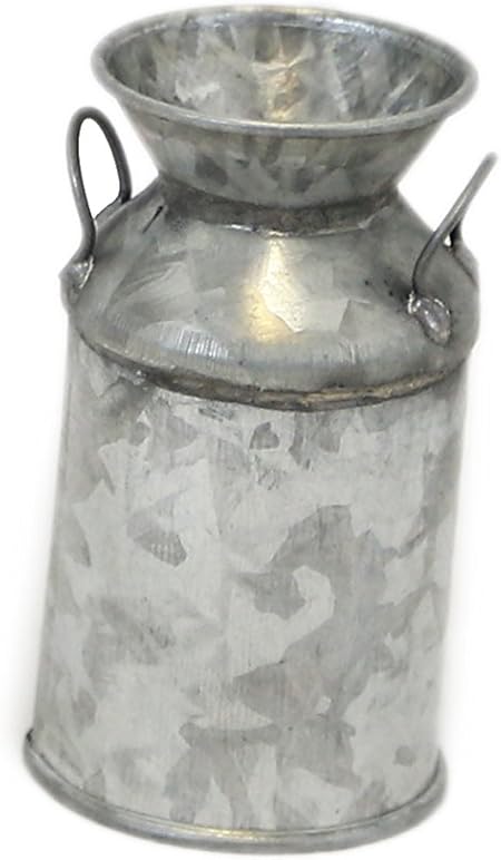 Amazon Com Galvanized Mini Milk Can Set Of 6 Garden Outdoor