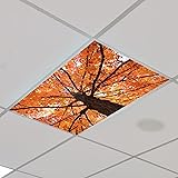 Outus 4 Pcs Fluorescent Light Cover Classroom Light