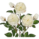Arborus Real Touch Artificial Roses (Set of 3) – 23.6" Long Stem White Garden Roses – Lifelike Faux Silk Flowers for Wedding Bouquets, Home Décor, Centerpieces & Floral Arrangements