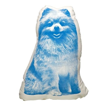 Amazon Com Areaware Fauna Pillow Pomeranian Home Kitchen