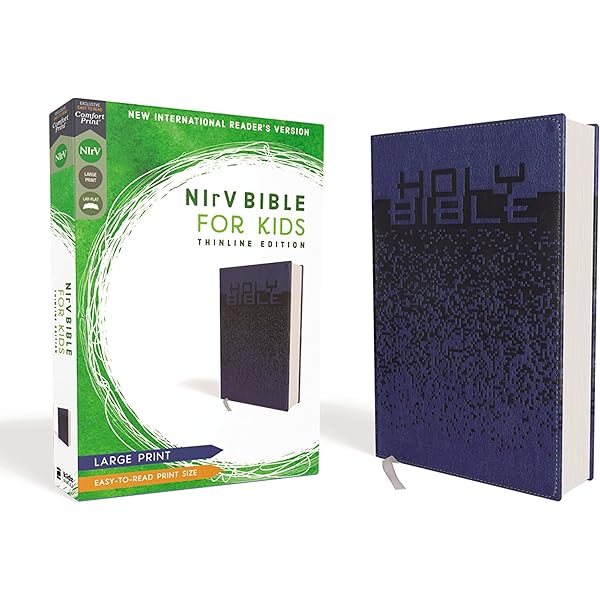 Amazon.com: NIrV, Holy Bible, Large Print, Leathersoft, Pink