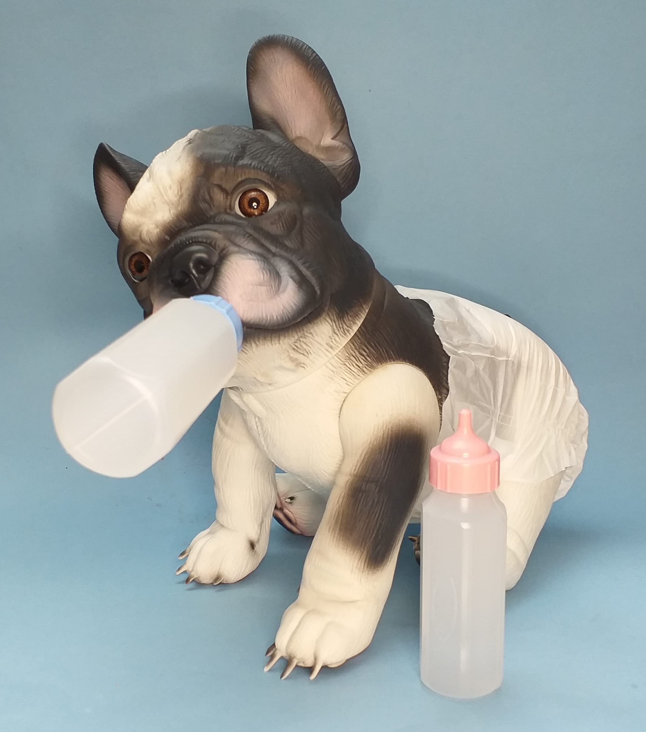 Baby Bulldog Francés - B&W