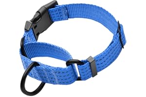 LUCKYDC Martingale Collar for Training Dogs. Adjustable Reflective Dog Collars with Buckle- NO Pull-Prevents Slipping Out, for Medium Large XL Dogs. Helps with Strong pullers (M, Blue)
