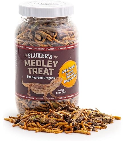 Snout And Shell Beetle Jelly For Exotic Pets – Nutrient